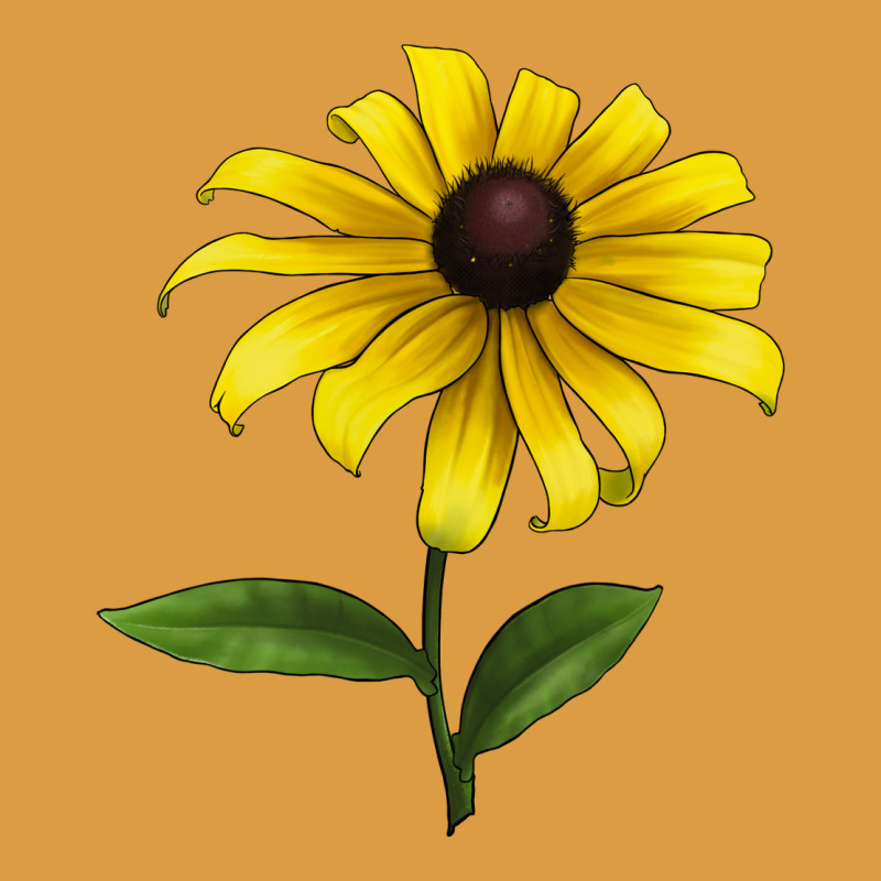 Black Eyed Susan Flower Urban Heavy Tee by LillyAllenDesigns | Teevron