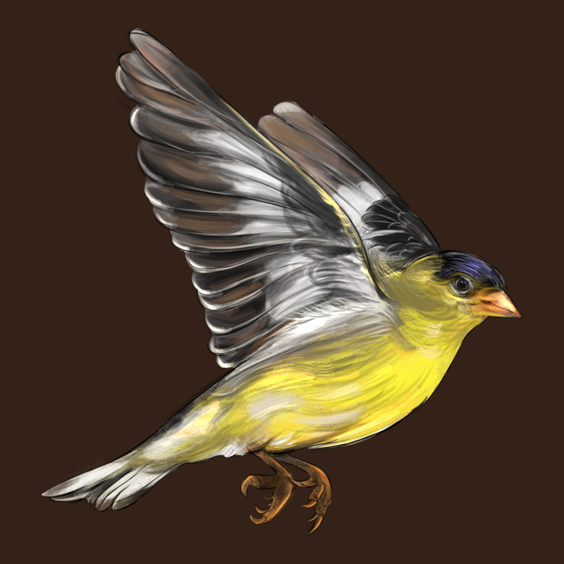 Flying American Goldfinch Heavy Core Tee by LillyAllenDesigns | Teevron
