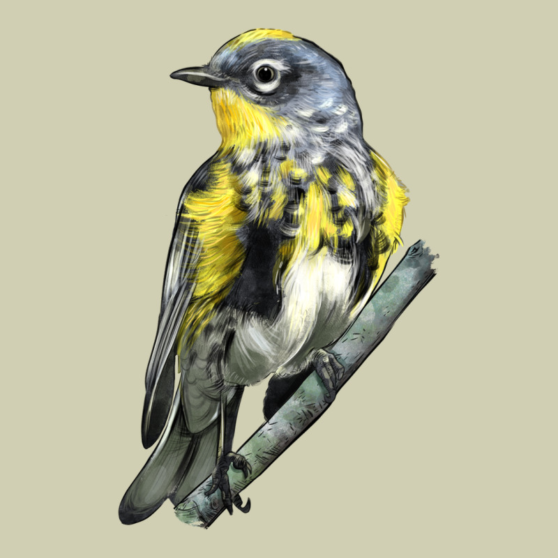 Yellow Rumped Warbler Heavy Core Tee by LillyAllenDesigns | Teevron