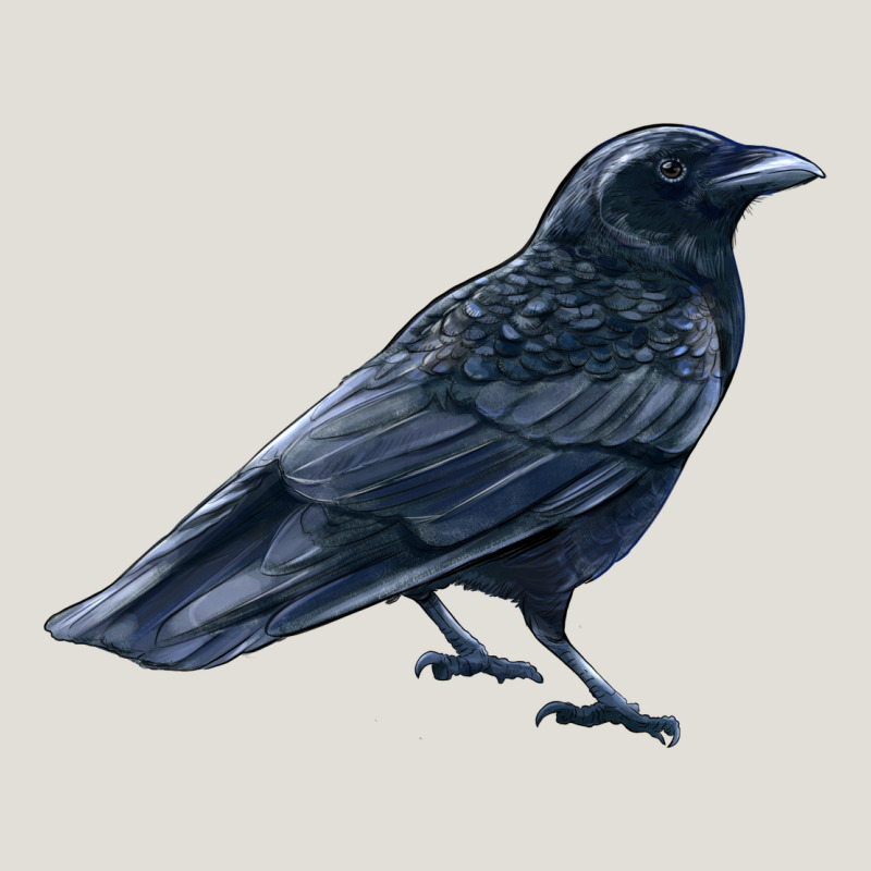 American Crow Heavy Core Tee by LillyAllenDesigns | Teevron