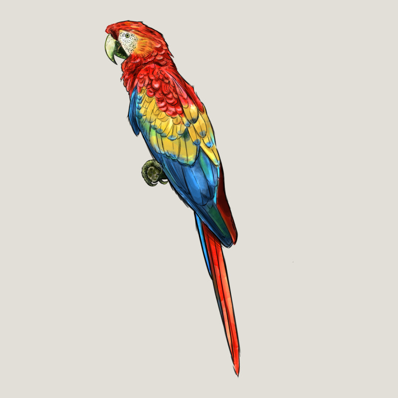 Scarlet Macaw Parrot Heavy Core Tee by LillyAllenDesigns | Teevron