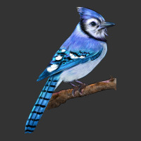 Blue Jay Bird | Teevron