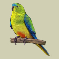 Neophema Parrot Heavy Core Tee | Teevron