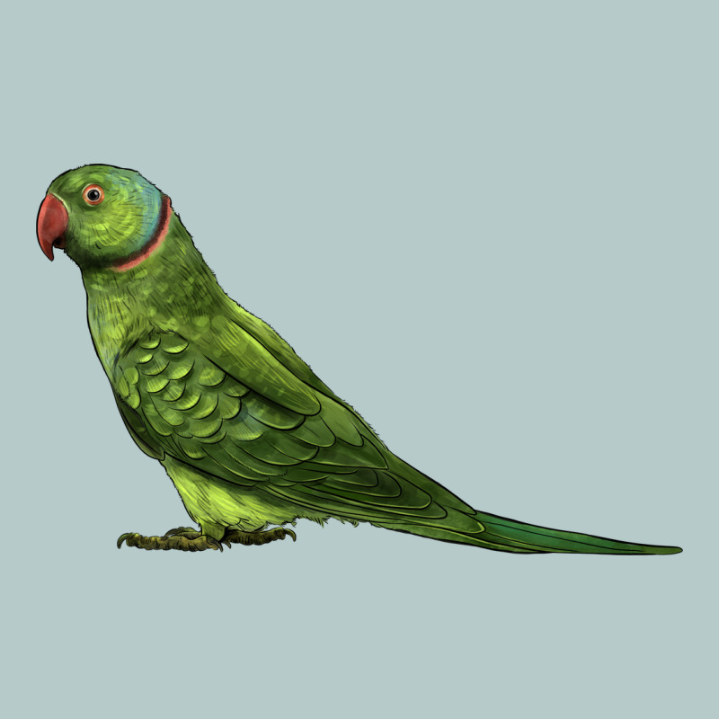 Ring Necked Parakeet Heavy Core Tee by LillyAllenDesigns | Teevron