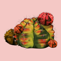 Gymnocalycium Variegated Cactus Urban Heavy Tee | Teevron