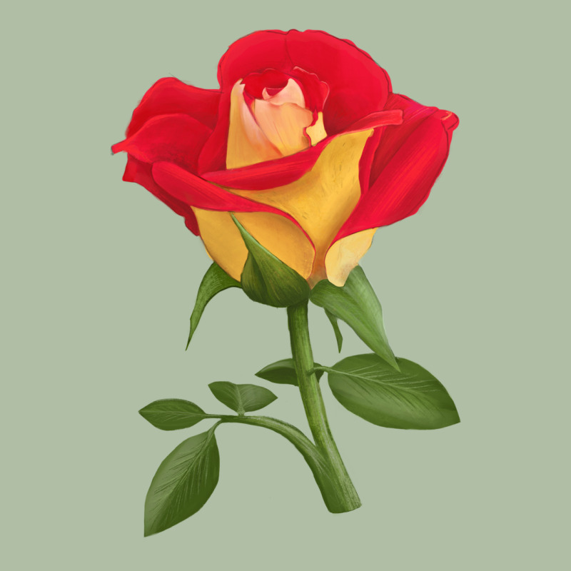 Ketchup And Mustard Rose Urban Heavy Tee by LillyAllenDesigns | Teevron