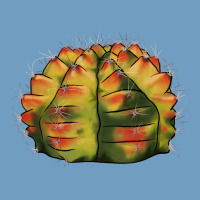 Gymnocalycium Variegated Cactus Urban Heavy Tee | Teevron