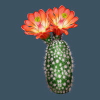 King Cup Cactus Urban Heavy Tee | Teevron
