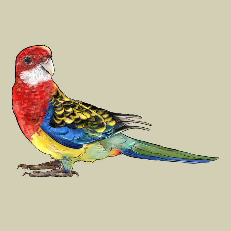 Rosella Bird Heavy Core Tee by LillyAllenDesigns | Teevron