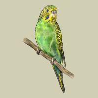 Budgeriar Bird Parrot Heavy Core Tee | Teevron
