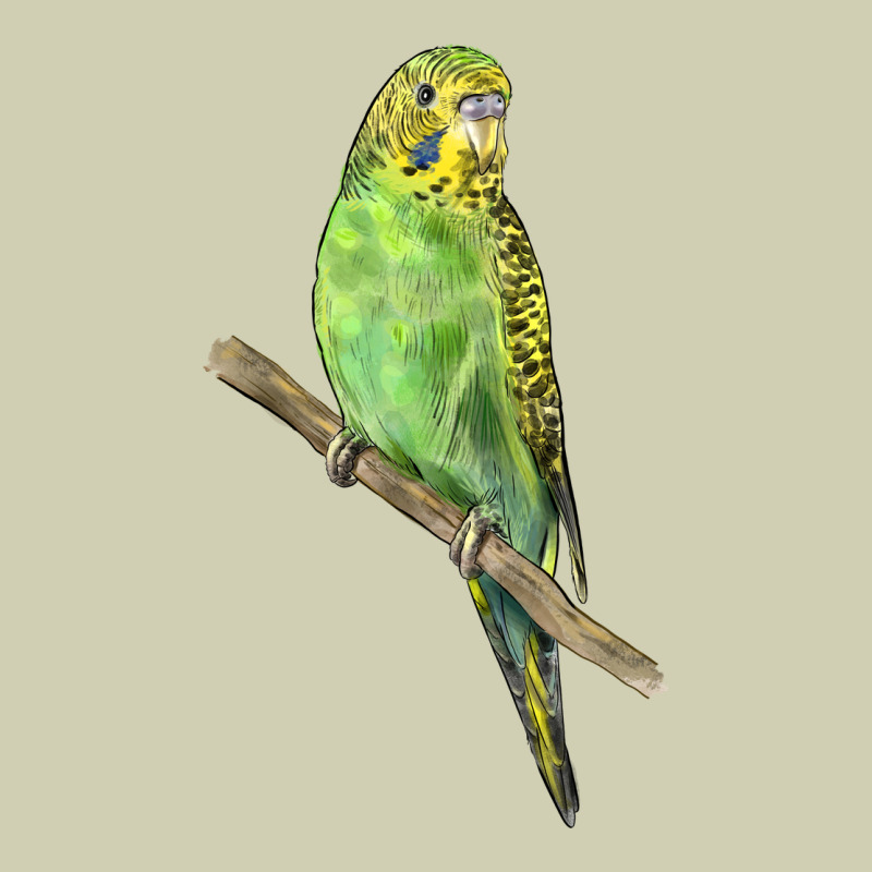Budgeriar Bird Parrot Heavy Core Tee by LillyAllenDesigns | Teevron