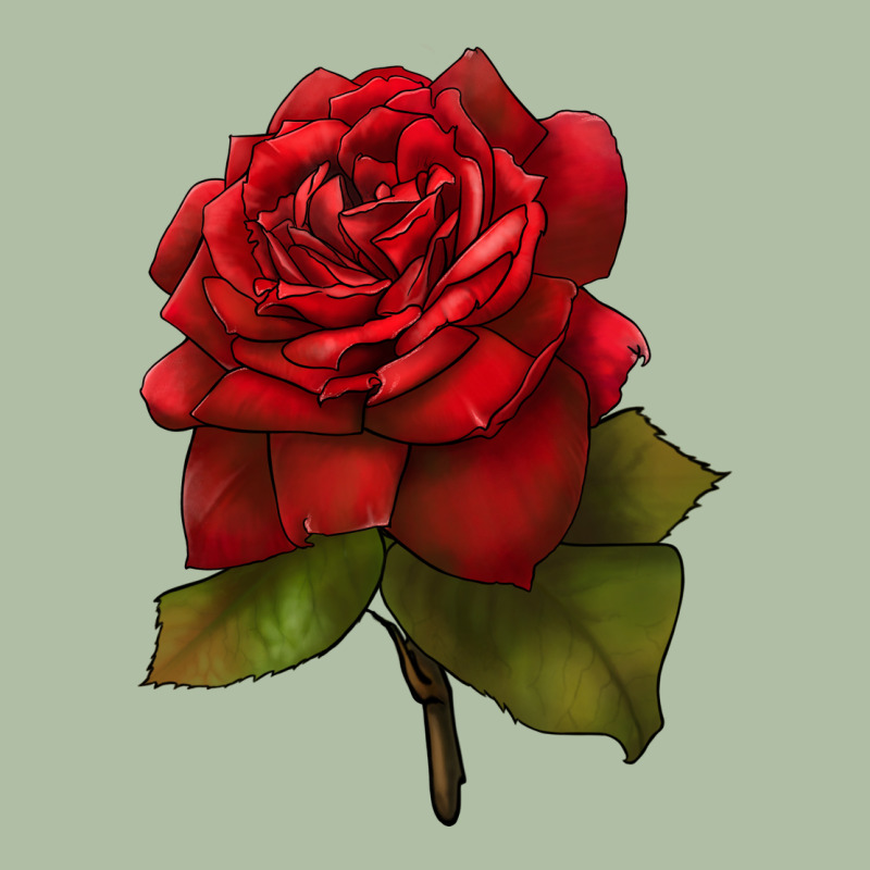 Oklahoma Rose Illustrations Urban Heavy Tee by LillyAllenDesigns | Teevron
