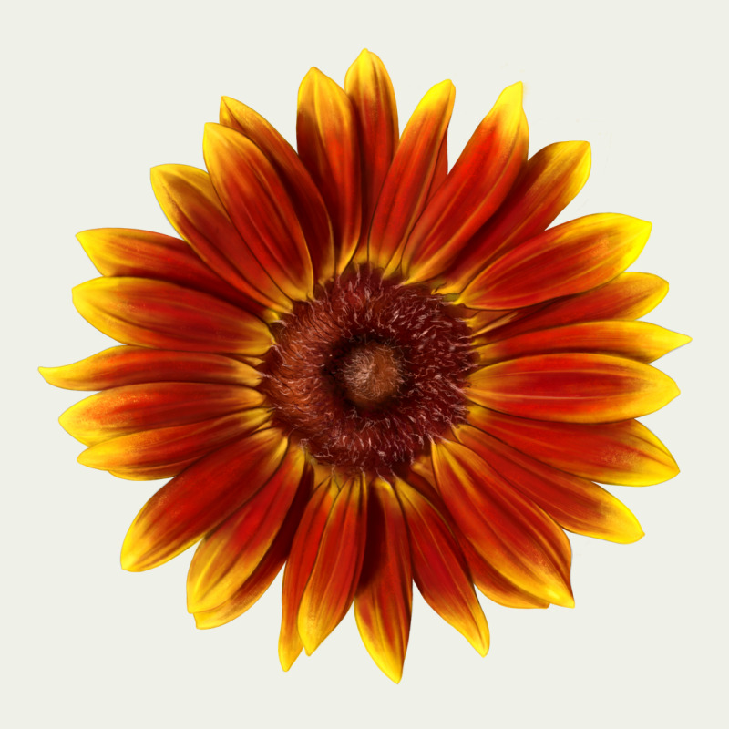 Little Becka Sunflower Urban Heavy Tee by LillyAllenDesigns | Teevron