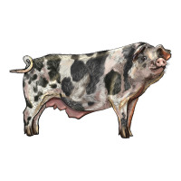 Spotted Pig | Teevron