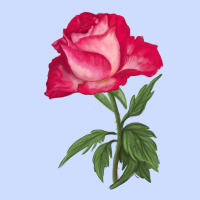 Love At First Sight Rose Urban Heavy Tee | Teevron