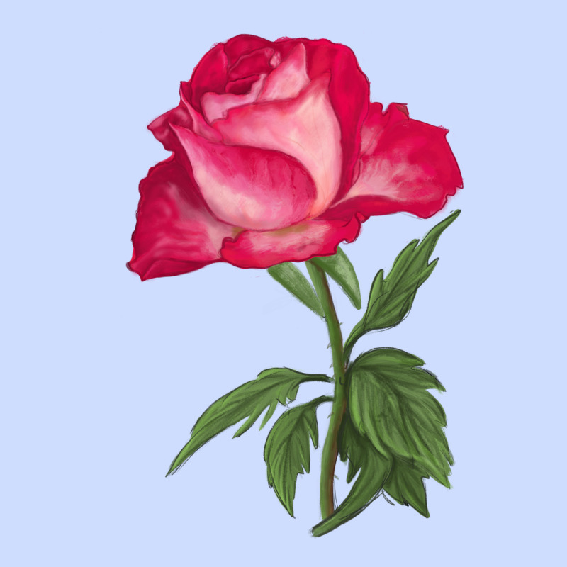 Love At First Sight Rose Urban Heavy Tee by LillyAllenDesigns | Teevron