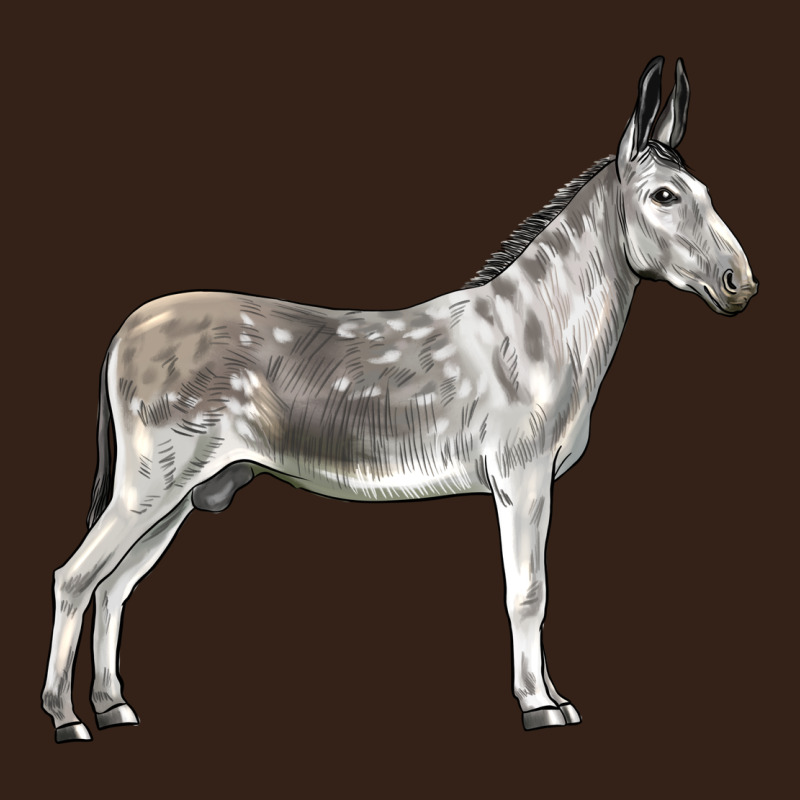 Andalusian Donkey Heavy Core Tee by LillyAllenDesigns | Teevron