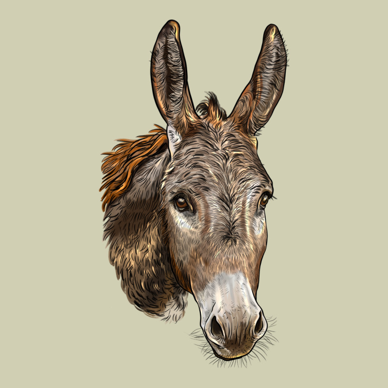Andalusian Donkey Face Heavy Core Tee by LillyAllenDesigns | Teevron