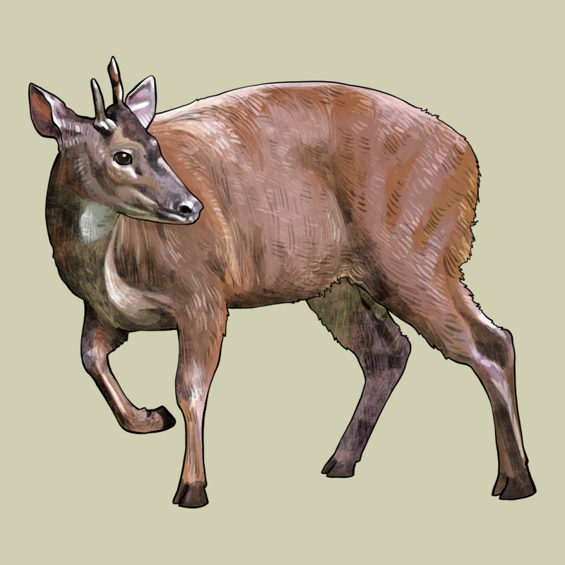 Red Brocket Buck Deer Heavy Core Tee by LillyAllenDesigns | Teevron