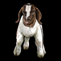 Baby Boer Goat Ladies Tee | Teevron