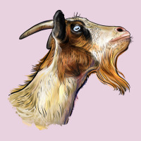 Tennessee Goat Head Ladies Tee | Teevron