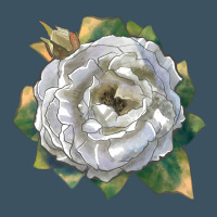 Pillow Fight Rose Urban Heavy Tee | Teevron