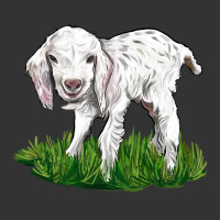 Baby Angora Goat | Teevron