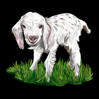 Baby Angora Goat Ladies Tee | Teevron