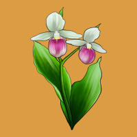 Pink And White Lady's Slipper Flower Urban Heavy Tee | Teevron