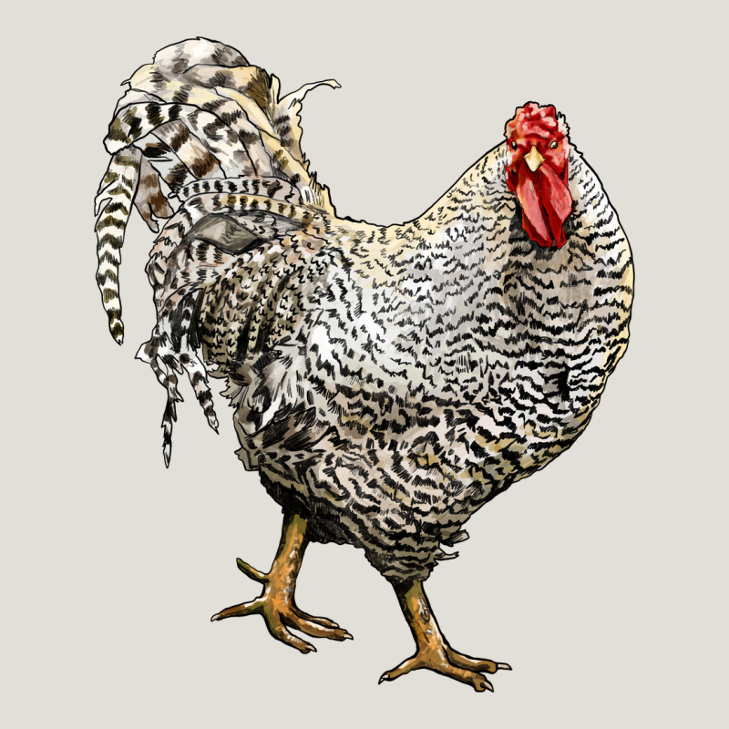 Dominique Rooster Heavy Core Tee by LillyAllenDesigns | Teevron