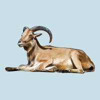 Spanish Goat Ladies Tee | Teevron