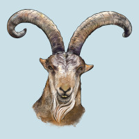 Spanish Goat Face Ladies Tee | Teevron
