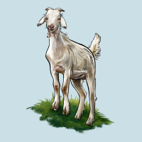 Kiko Goat Ladies Tee | Teevron