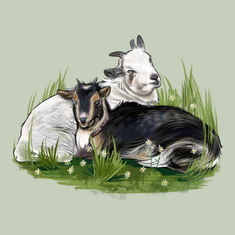 Two Baby Nigerian Dwarf Goat Ladies Tee by LillyAllenDesigns | Teevron