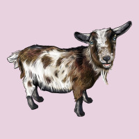 Nigerian Dwarf Goat Ladies Tee | Teevron