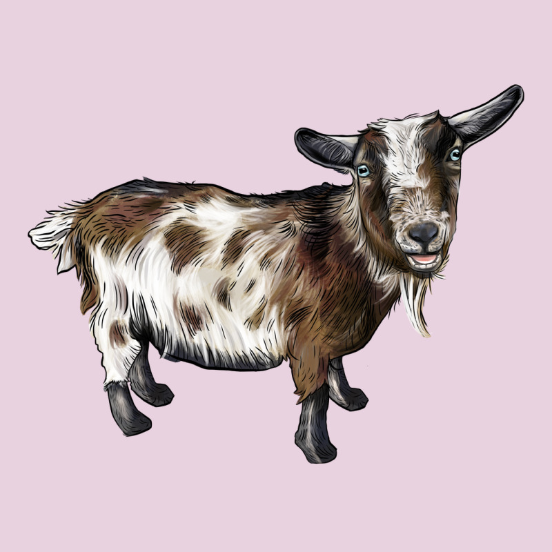 Nigerian Dwarf Goat Ladies Tee by LillyAllenDesigns | Teevron