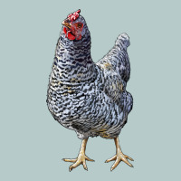 Dominique Chicken Heavy Core Tee | Teevron