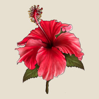 Puerto Rican Hibiscus Flower Urban Heavy Tee | Teevron
