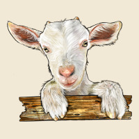 Baby Cashmere Goat Ladies Tee | Teevron