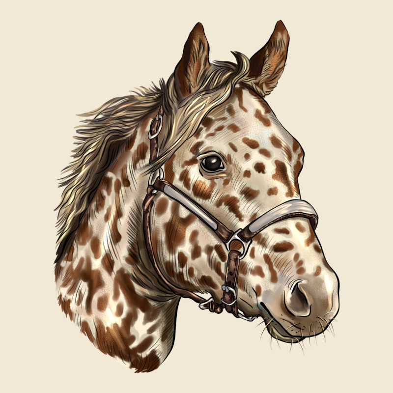 Appaloosa Horse Ladies Tee by LillyAllenDesigns | Teevron