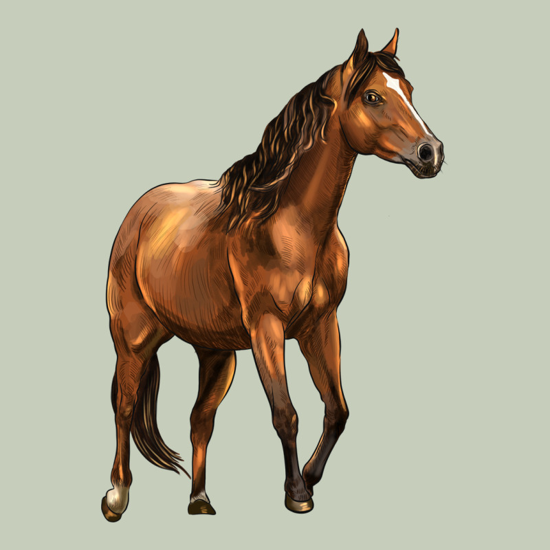 Quarter Horse Ladies Tee by LillyAllenDesigns | Teevron