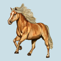Haflinger Horse Ladies Tee | Teevron