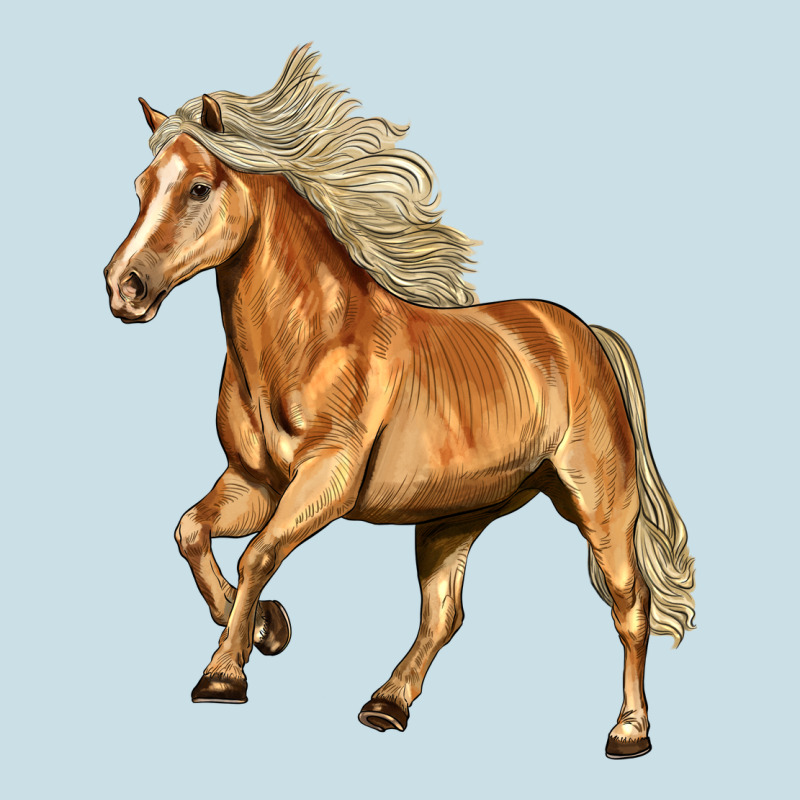Haflinger Horse Ladies Tee by LillyAllenDesigns | Teevron