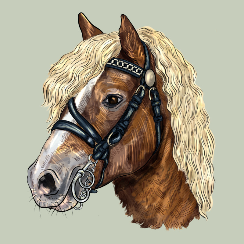 Haflinger Avelignese Horse Ladies Tee by LillyAllenDesigns | Teevron