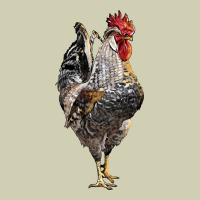 Cream Legbar Rooster Heavy Core Tee | Teevron