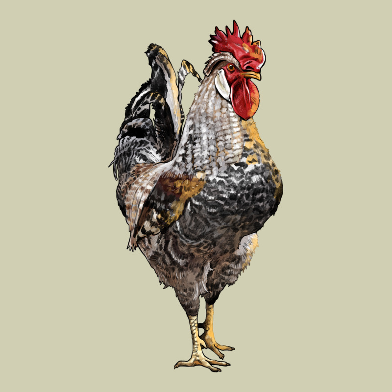 Cream Legbar Rooster Heavy Core Tee by LillyAllenDesigns | Teevron