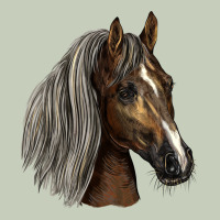 Tennessee Horse Ladies Tee | Teevron