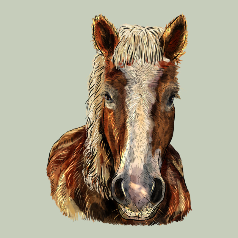 Belgian Horse Ladies Tee by LillyAllenDesigns | Teevron