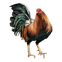 American Game Rooster | Teevron