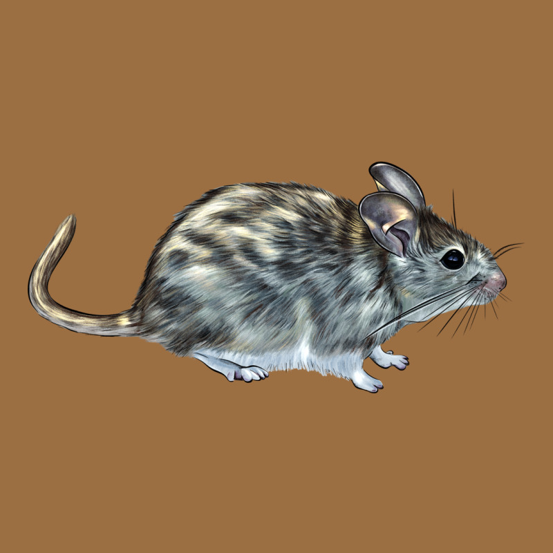 Packrat Aka, Woodrat Vintage Tee by LillyAllenDesigns | Teevron